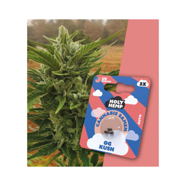 Holy Hemp Cannabis Samen Auto-Flowering - OG Kush