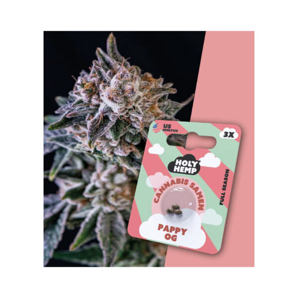 Holy Hemp Cannabis Samen Full Season - Pappy OG