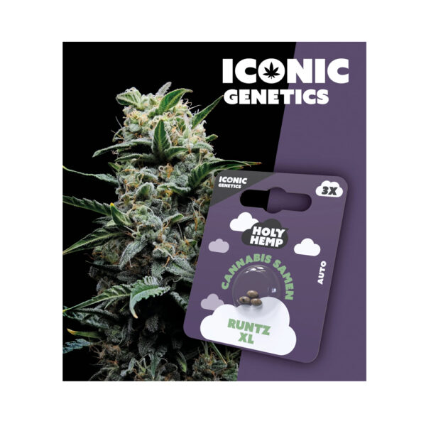Holy Hemp Cannabis Samen Auto-Flowering - Runtz XL – Iconic Seeds