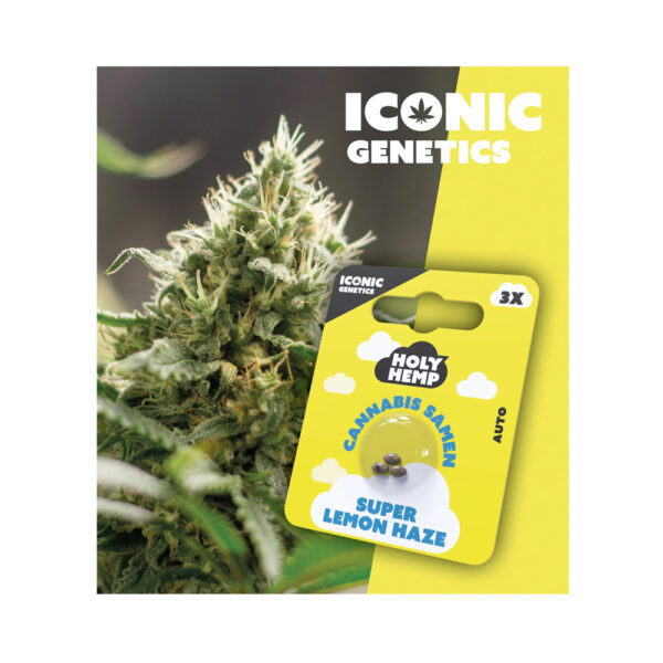 Holy Hemp Cannabis Samen Auto-Flowering - Super Lemon Haze – Iconic Seeds