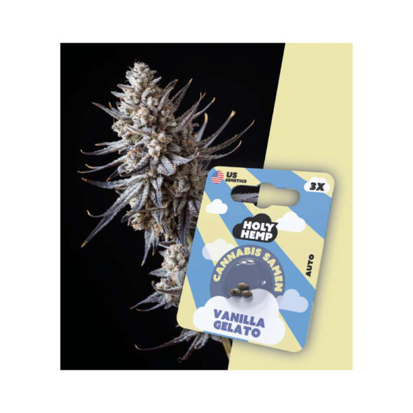 Holy Hemp Cannabis Samen Auto-Flowering - Vanilla Gelato