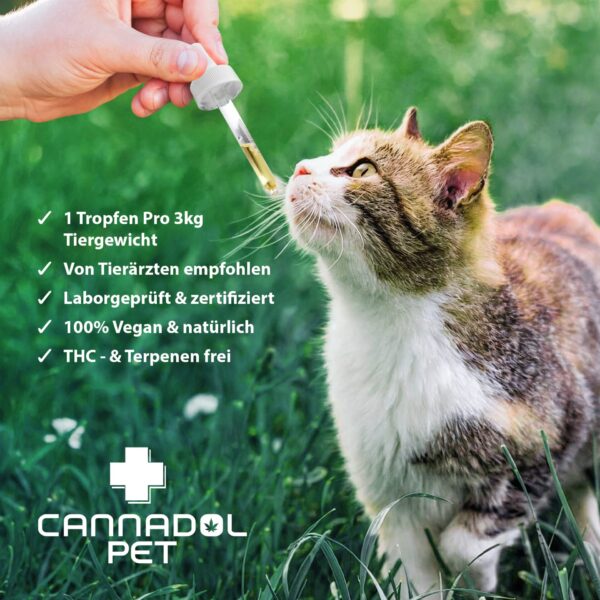 Cannadol CBD Öl Pet Katze 3% – Bild 4